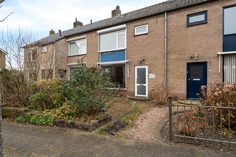 undefined main image