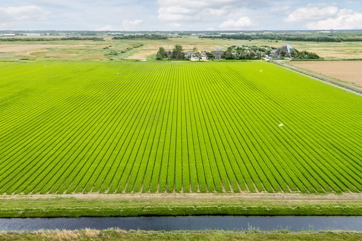 Foto 58 van Warande 29