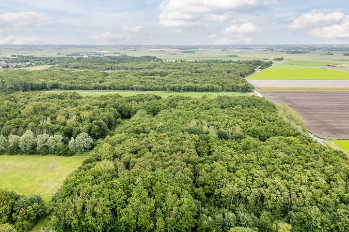 Foto 61 van Warande 29