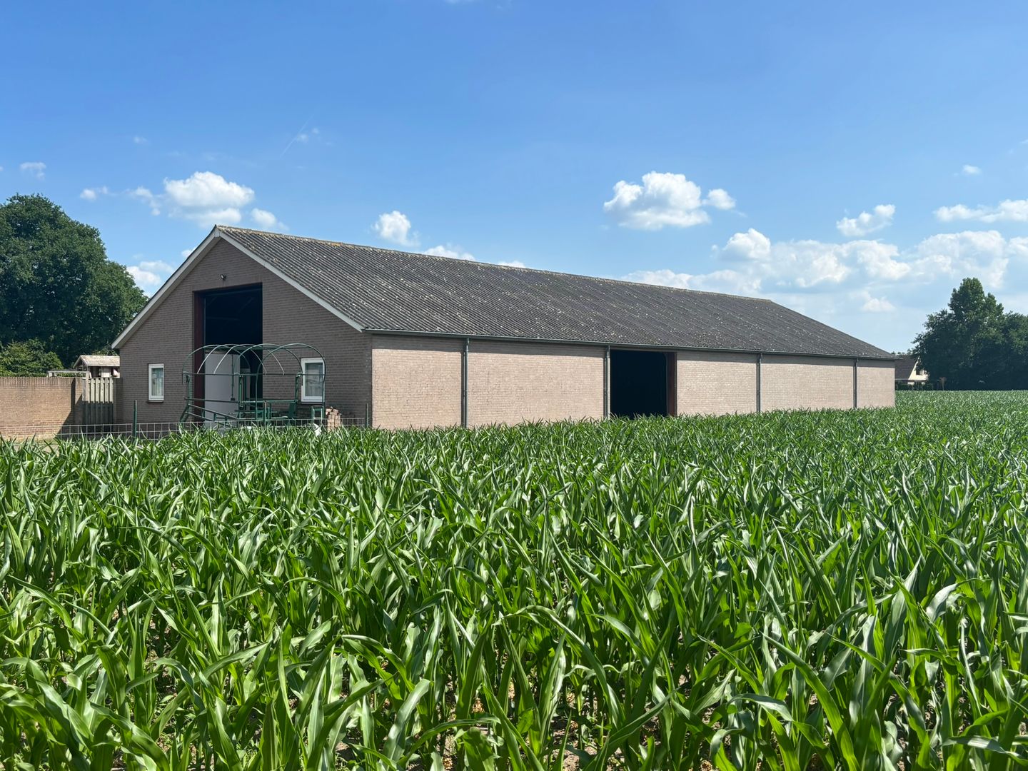 Bekijk foto 1 van Nieuwe Erven 37