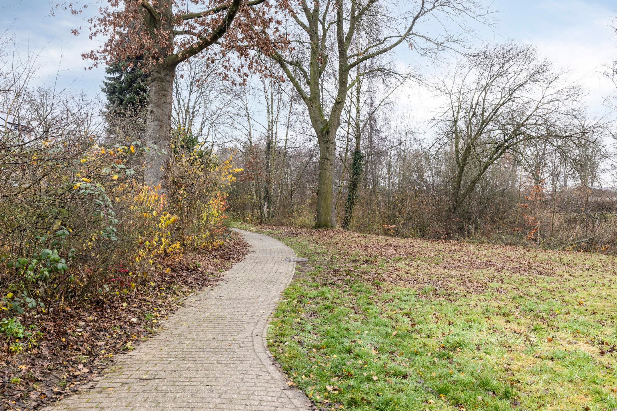 Photo 36 of Meidoornlaan 151