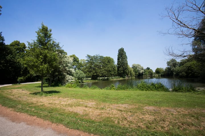 Foto 36 van Boeroestraat 9