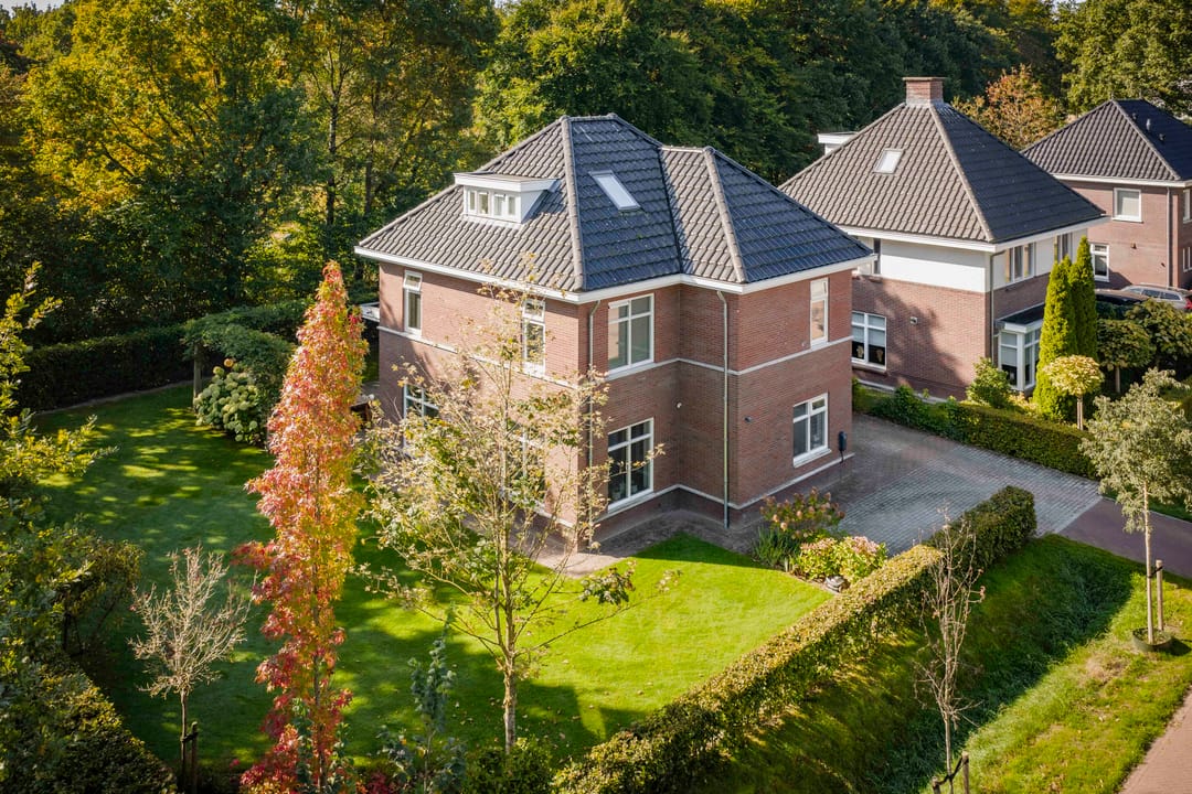 Foto 1 van Goudveil 8