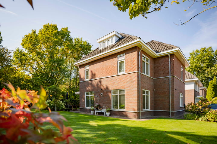 Foto 3 van Goudveil 8