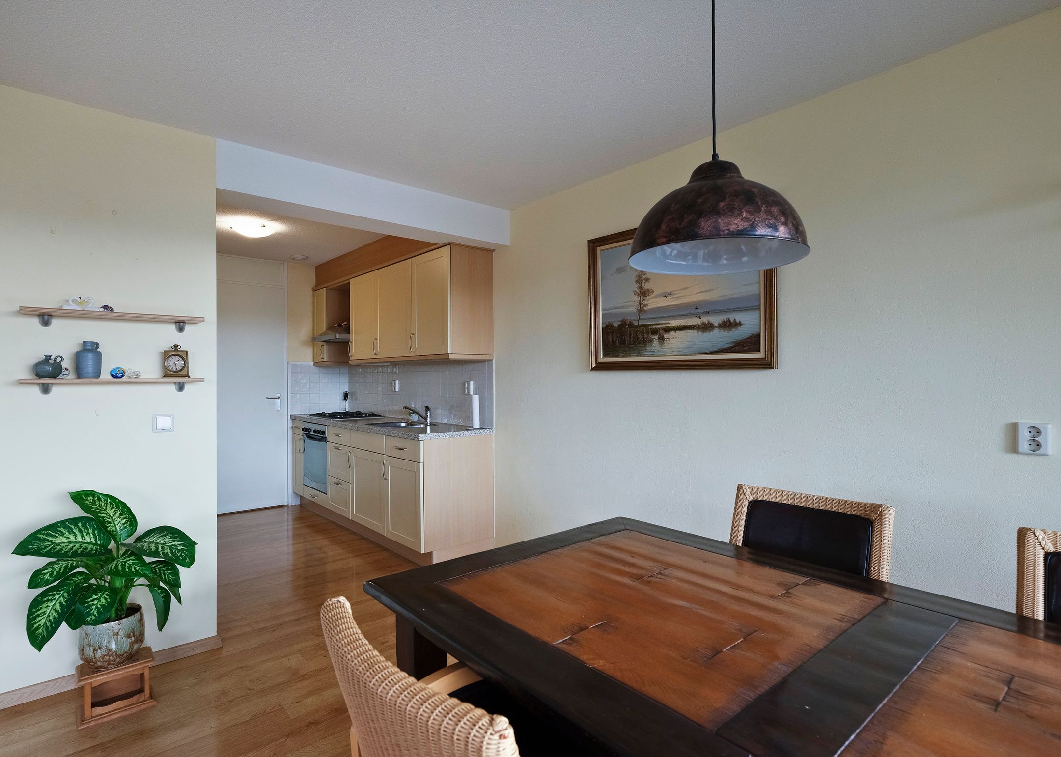 Foto 6 van Schaapskuilmeer 159