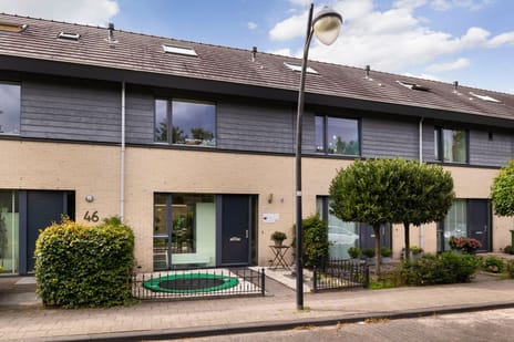 undefined main image