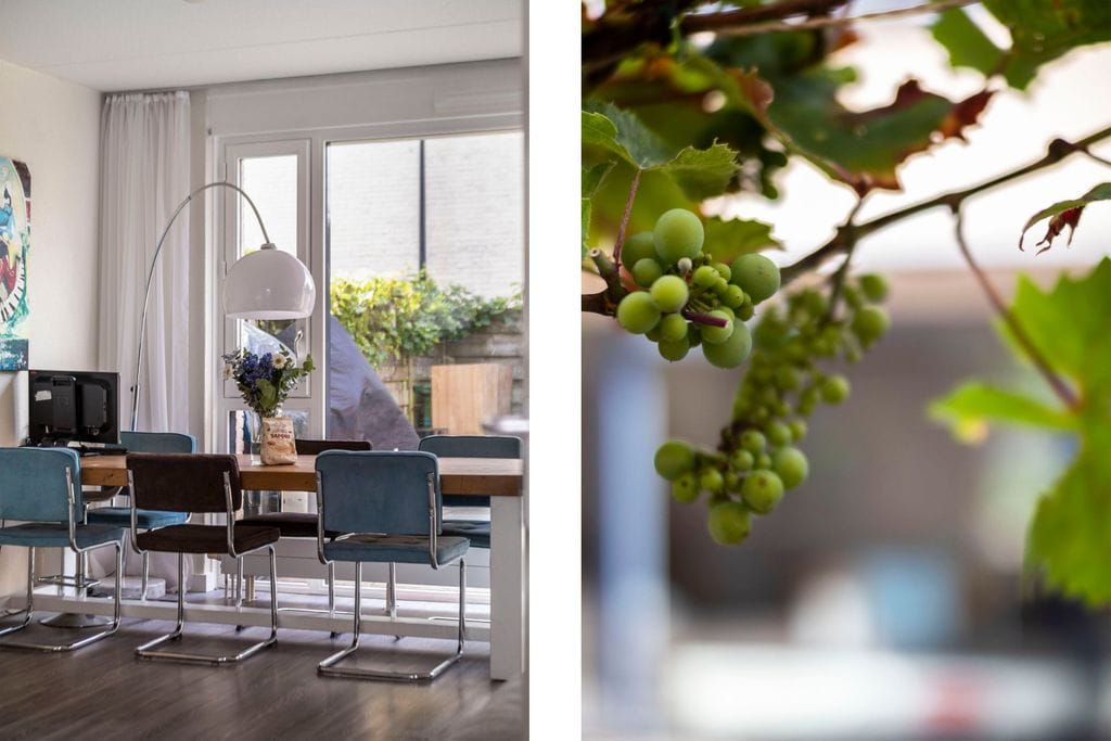 Foto 10 van Meijepolder 44