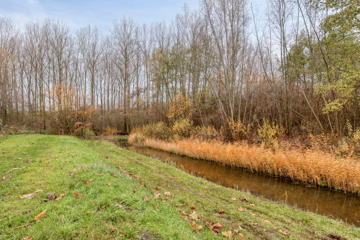 Foto 52 van Buddy Boldenlaan 46