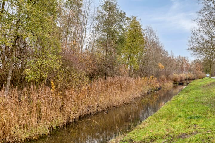 Foto 53 van Buddy Boldenlaan 46