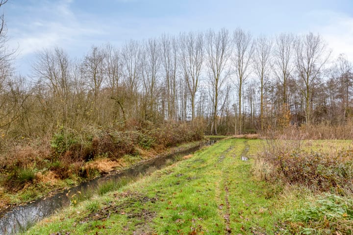 Foto 55 van Buddy Boldenlaan 46