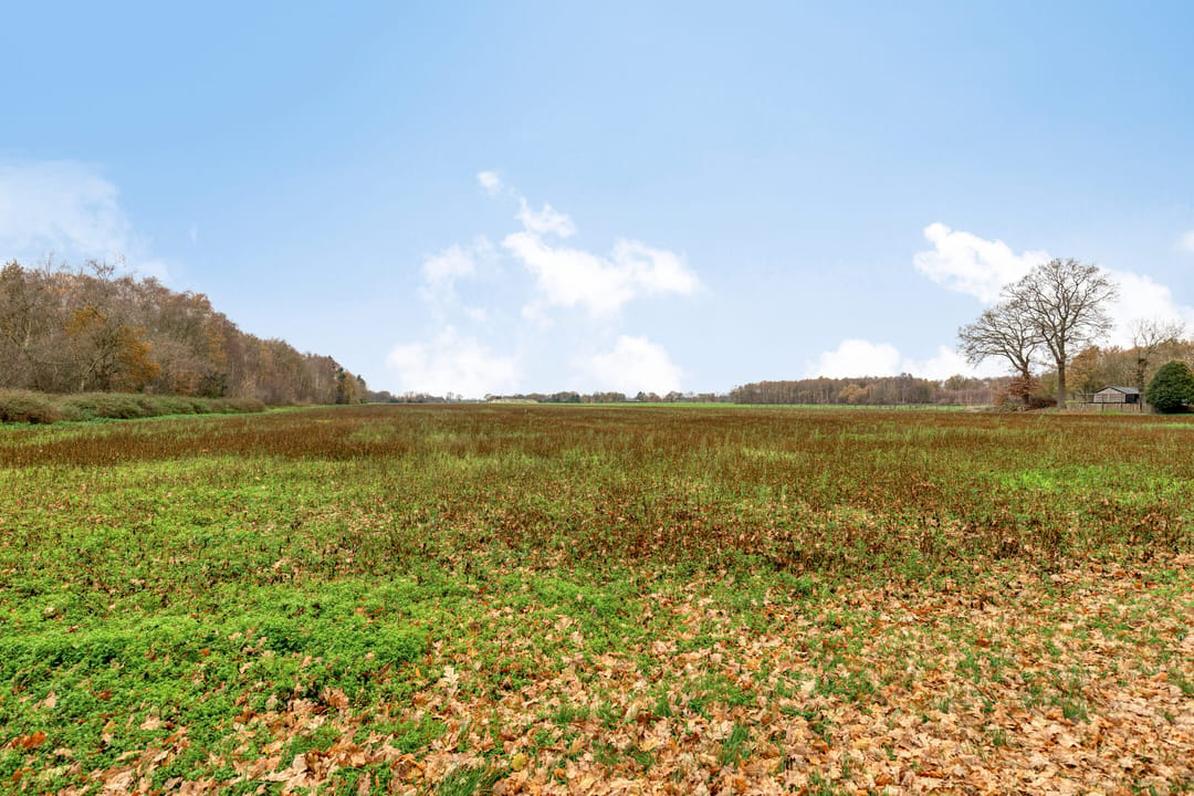 Photo 37 of Dordsedijk 102