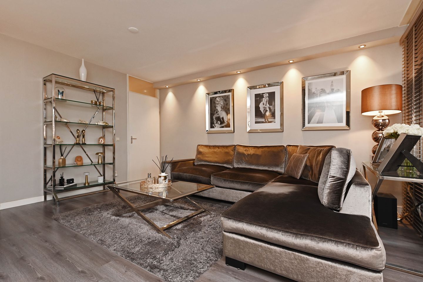 Foto 19 van Zilvermeeuwlaan 16