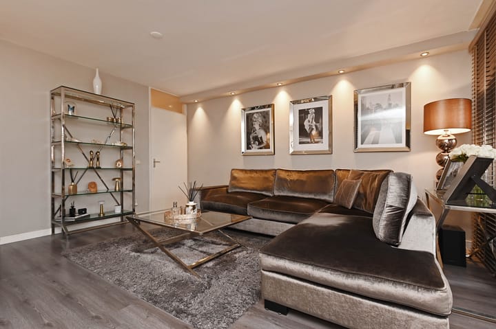 Foto 19 van Zilvermeeuwlaan 16