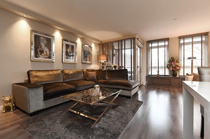 Foto 26 van Zilvermeeuwlaan 16