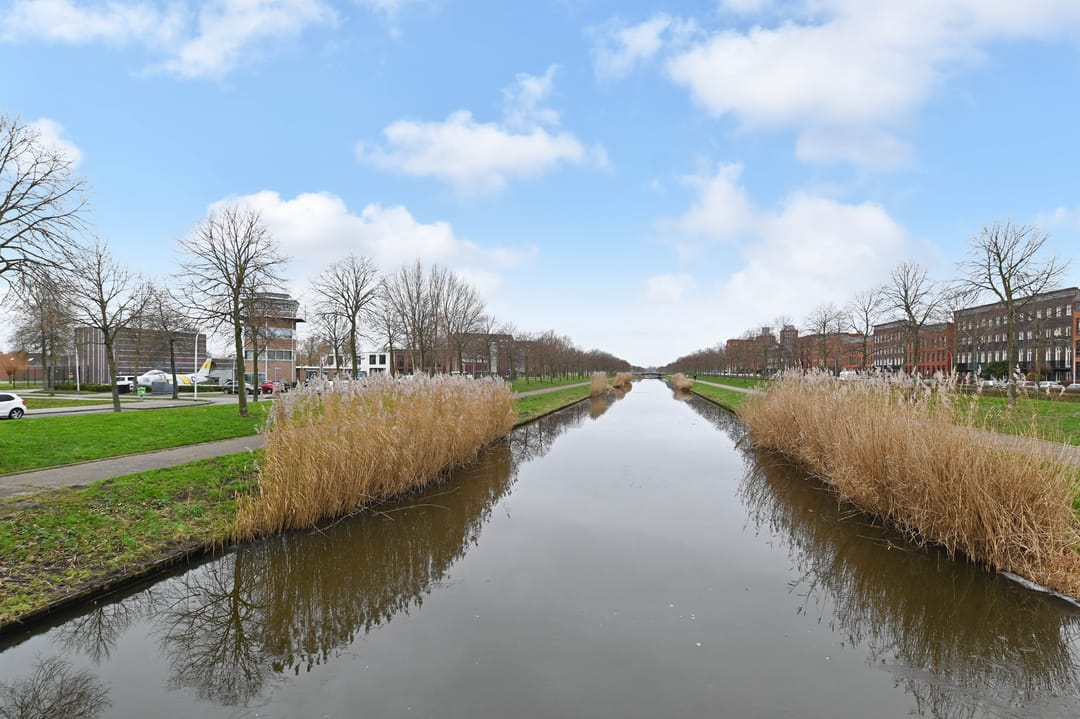 Foto 53 van Zilvermeeuwlaan 16