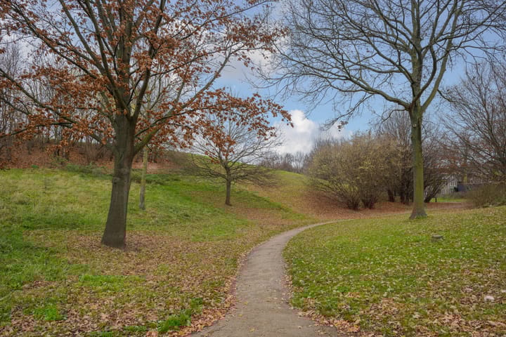 Foto 41 van Ramershaag 76