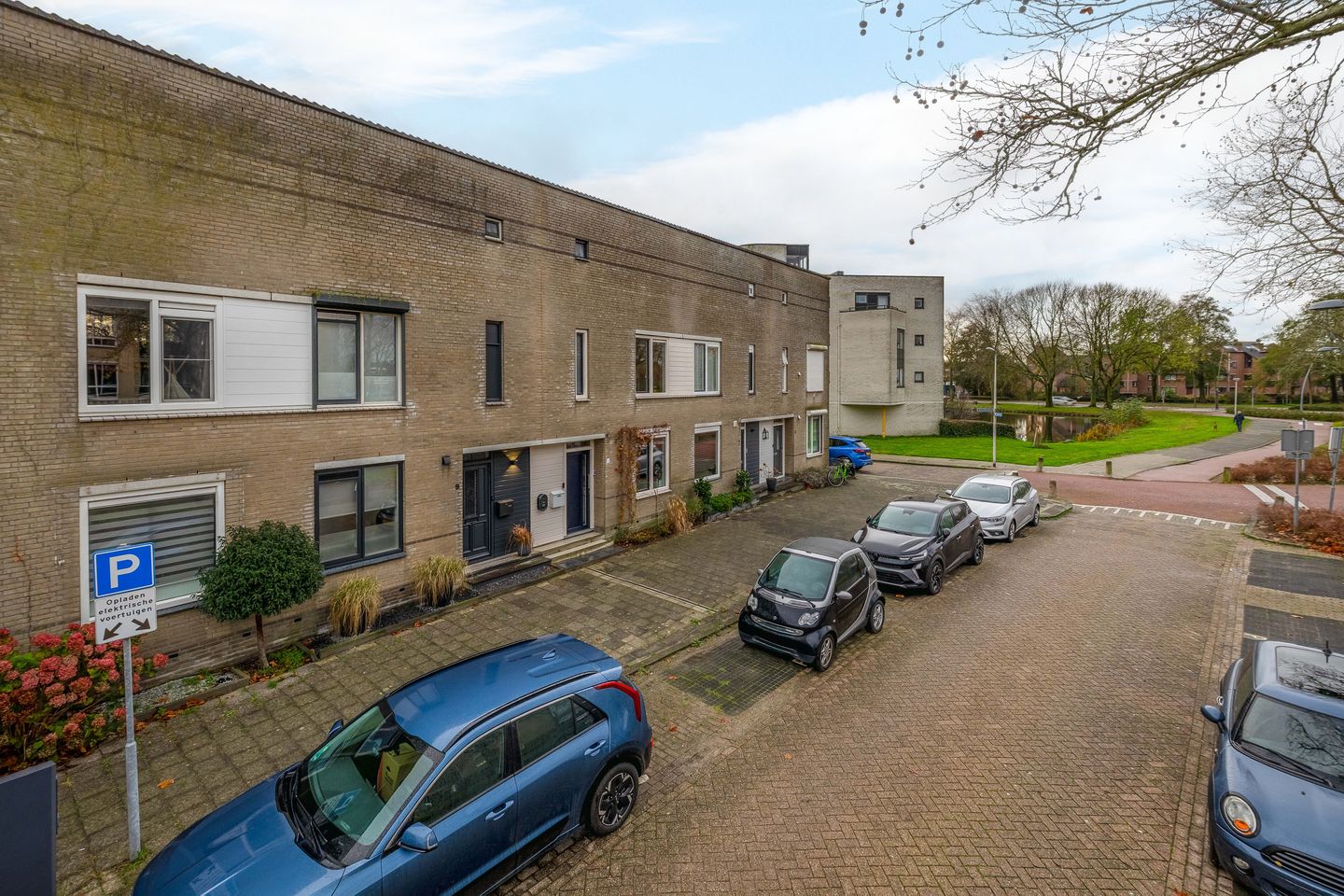 Foto 5 van Gipskruid 8