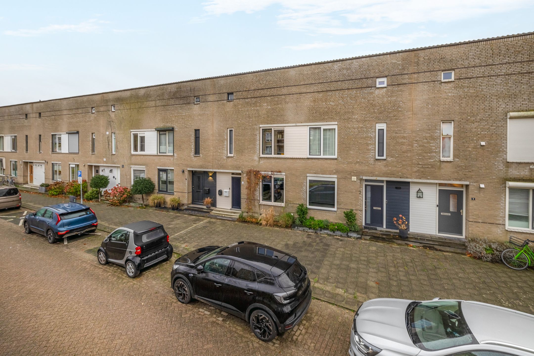 Foto 6 van Gipskruid 8