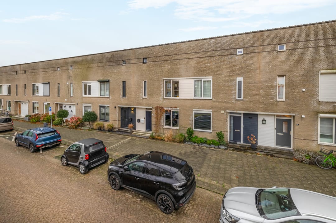 Foto 8 van Gipskruid 8