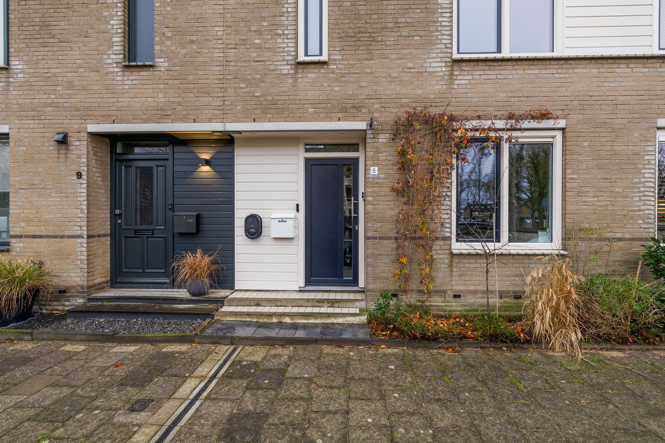 Foto 9 van Gipskruid 8