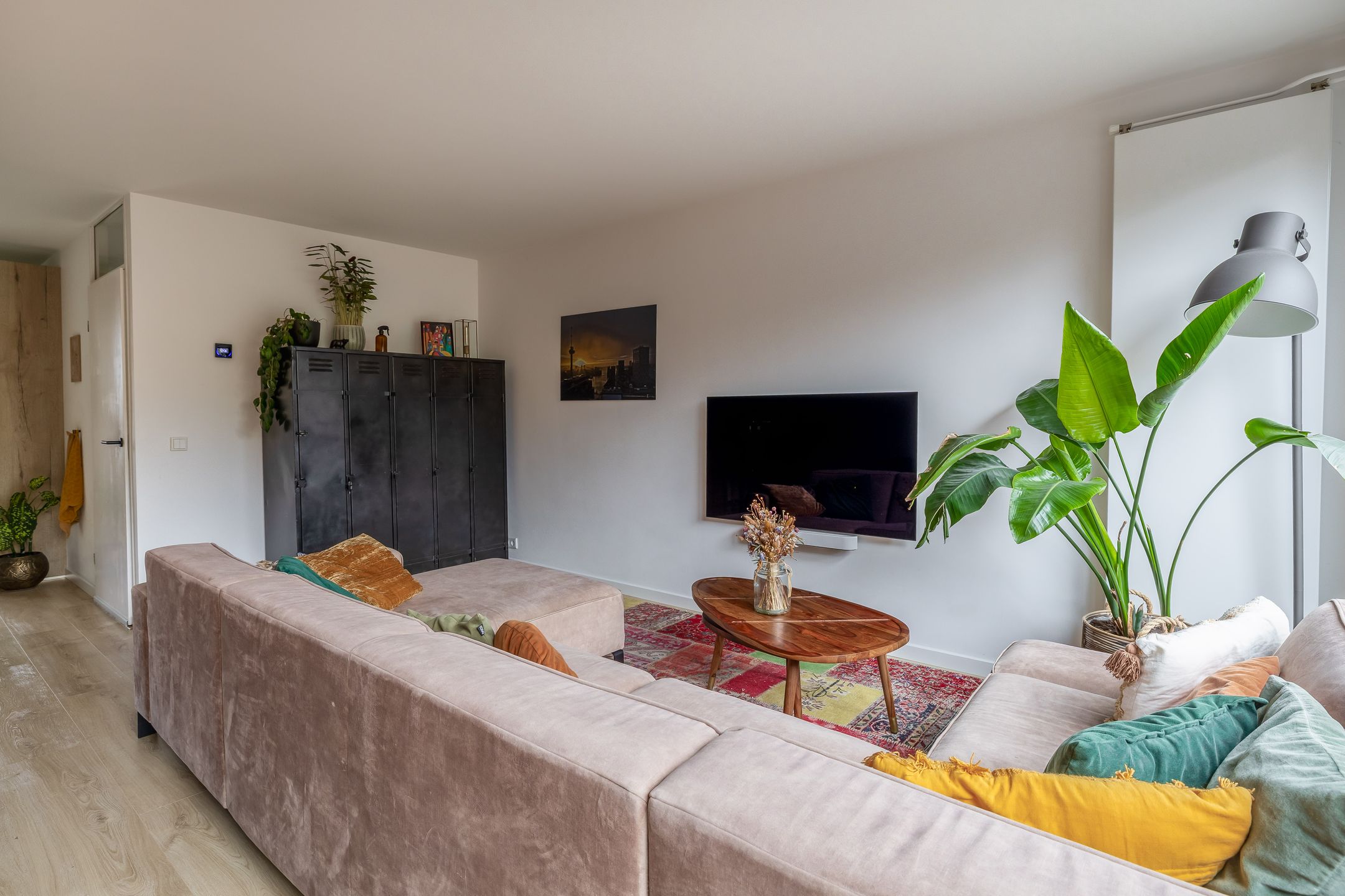 Foto 15 van Gipskruid 8