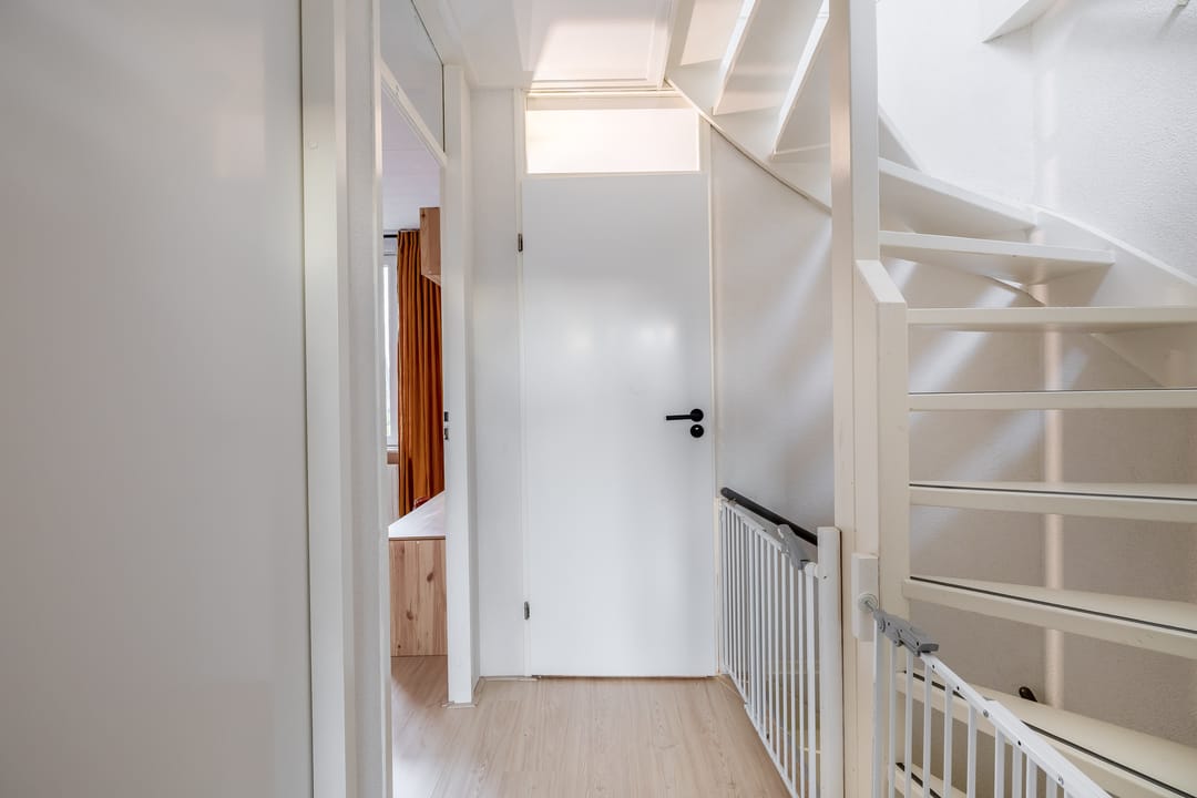 Foto 22 van Gipskruid 8