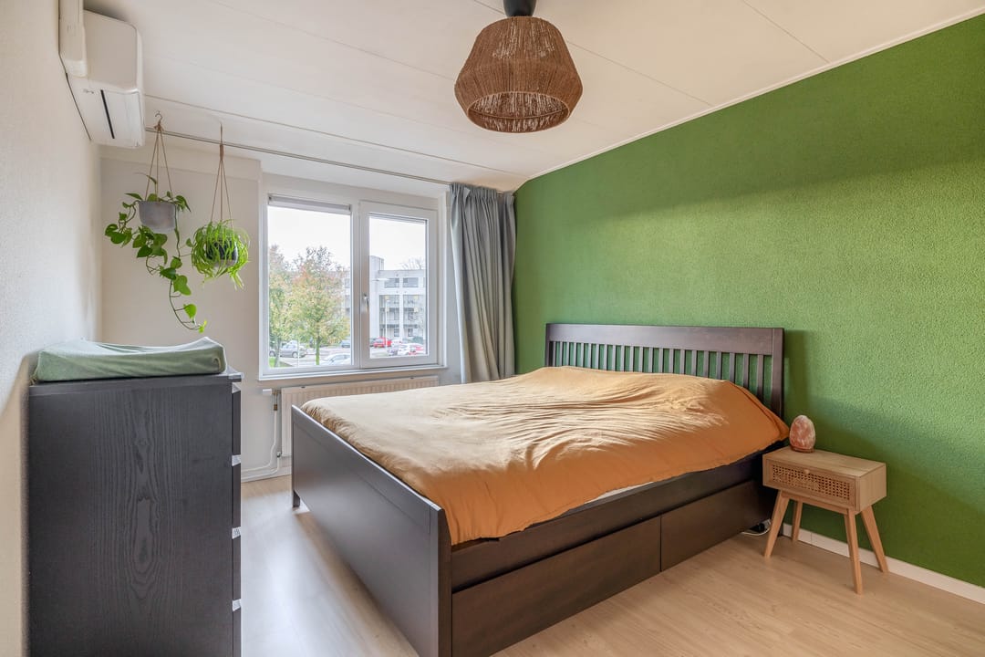 Foto 23 van Gipskruid 8