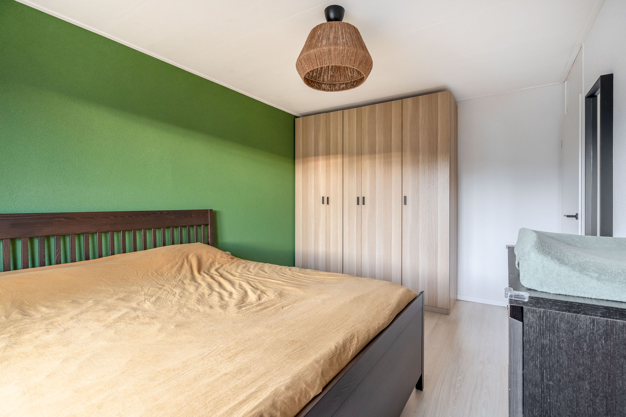 Foto 24 van Gipskruid 8