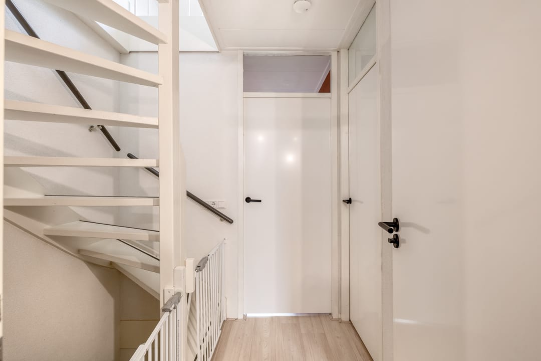 Foto 32 van Gipskruid 8