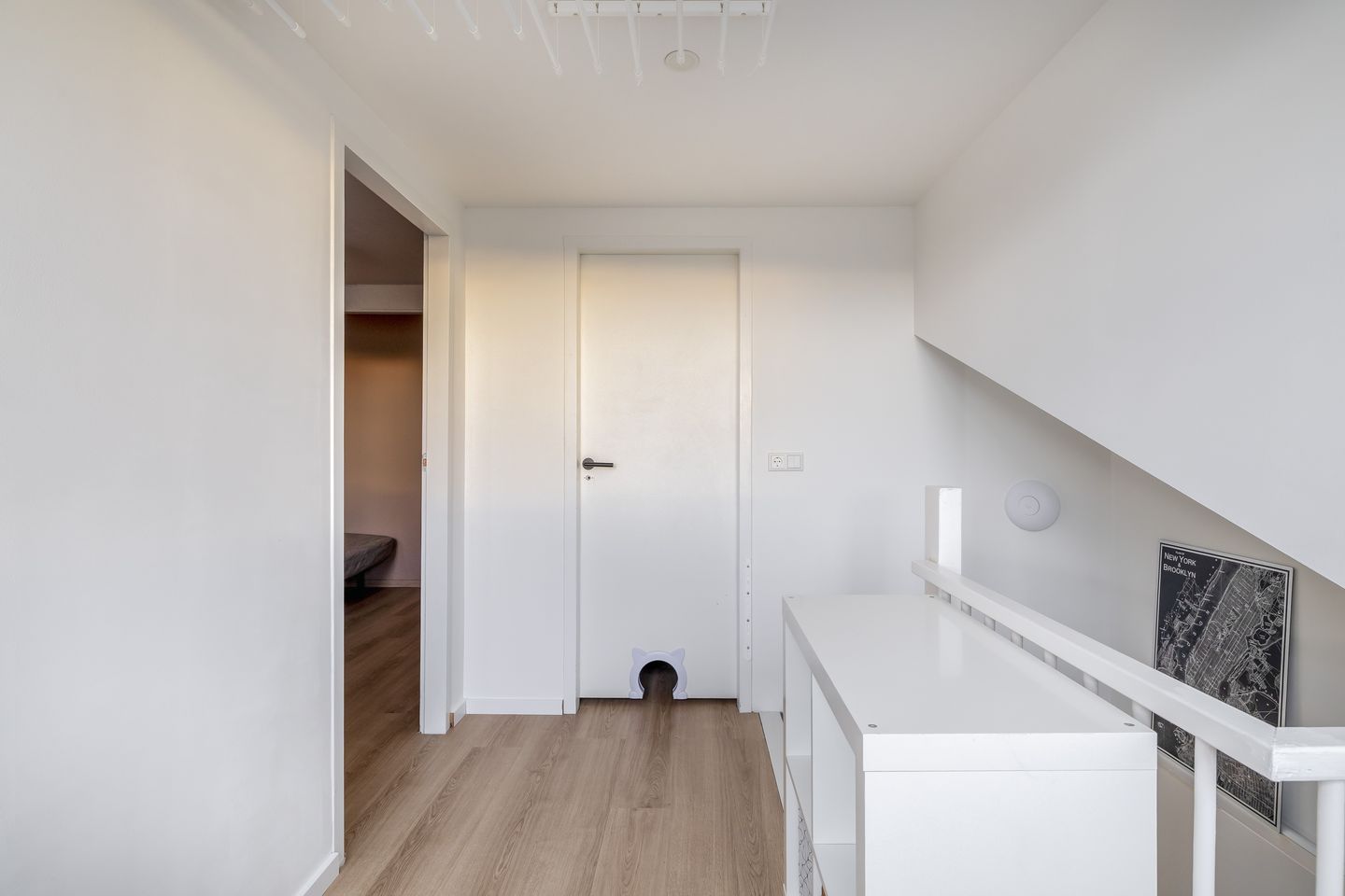 Foto 34 van Gipskruid 8