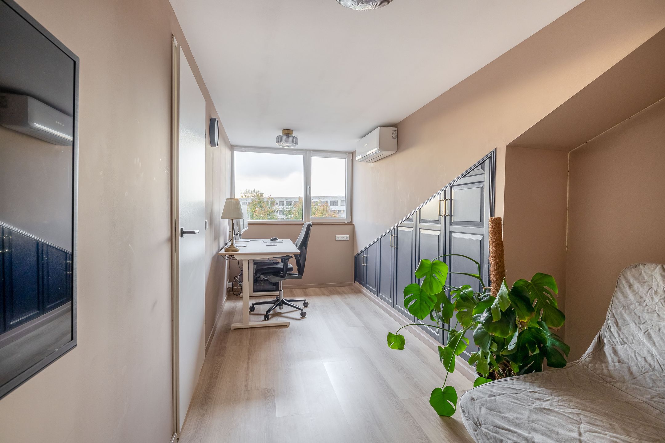 Foto 36 van Gipskruid 8