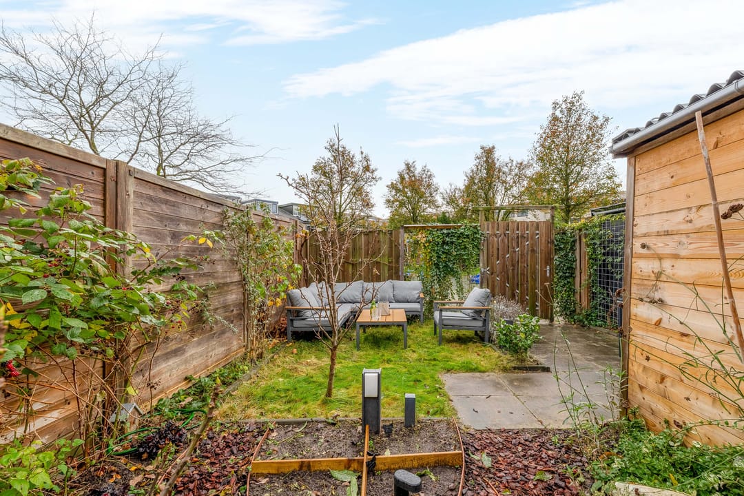 Foto 38 van Gipskruid 8