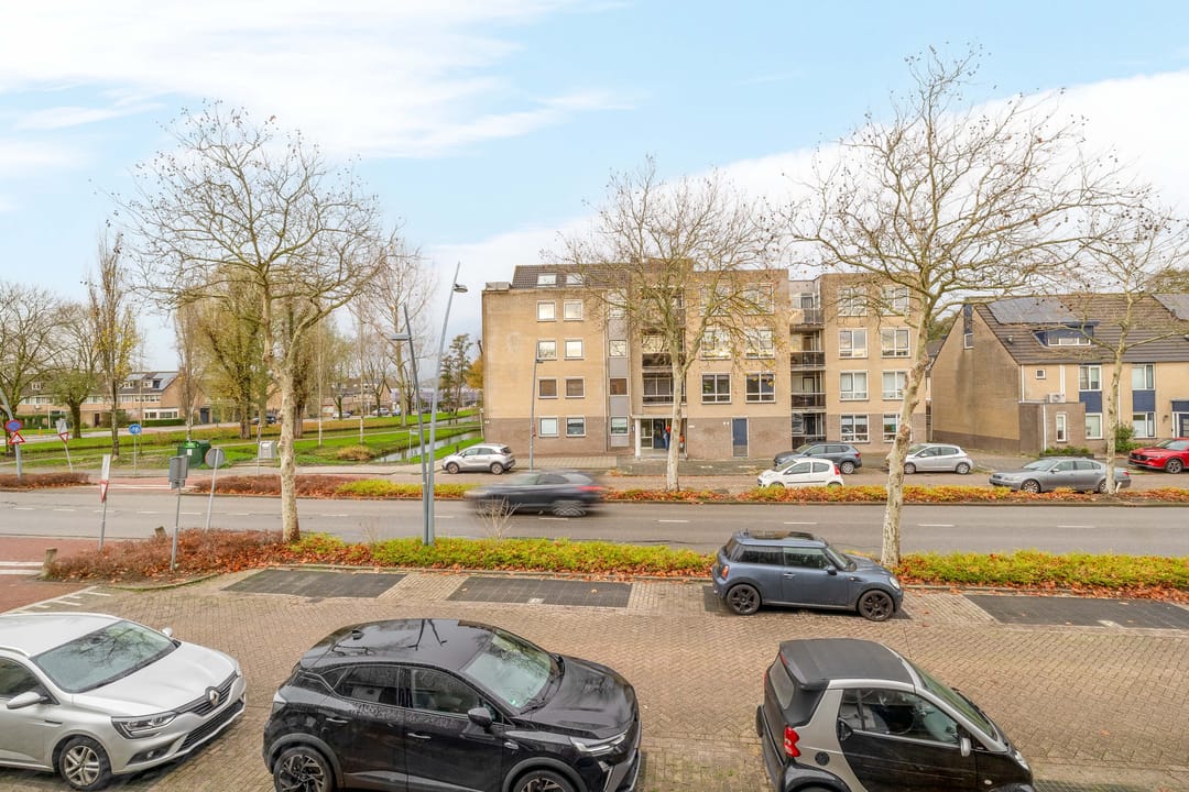 Foto 7 van Gipskruid 8