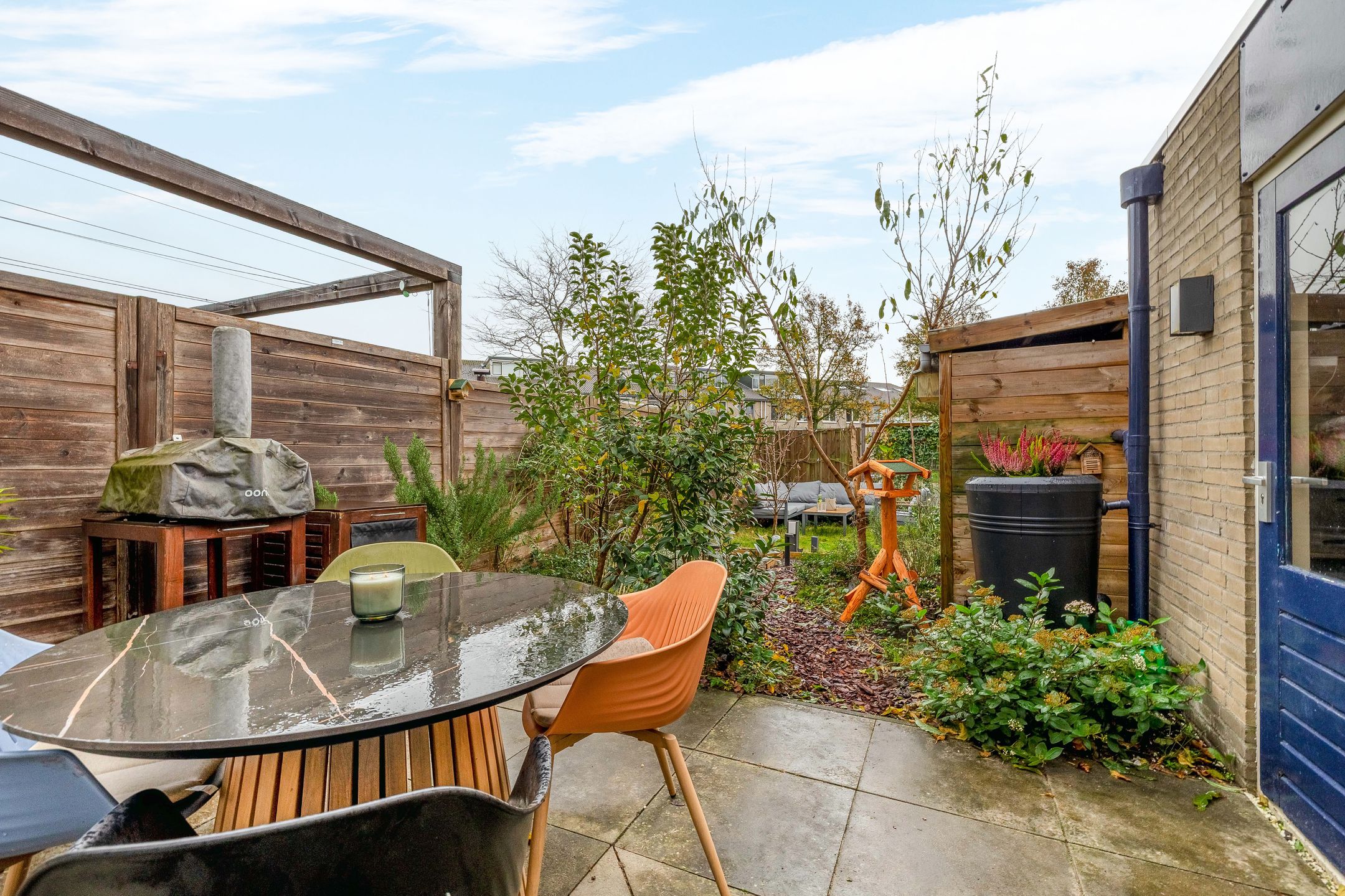 Foto 39 van Gipskruid 8