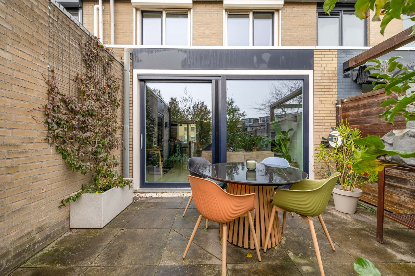 Foto 40 van Gipskruid 8