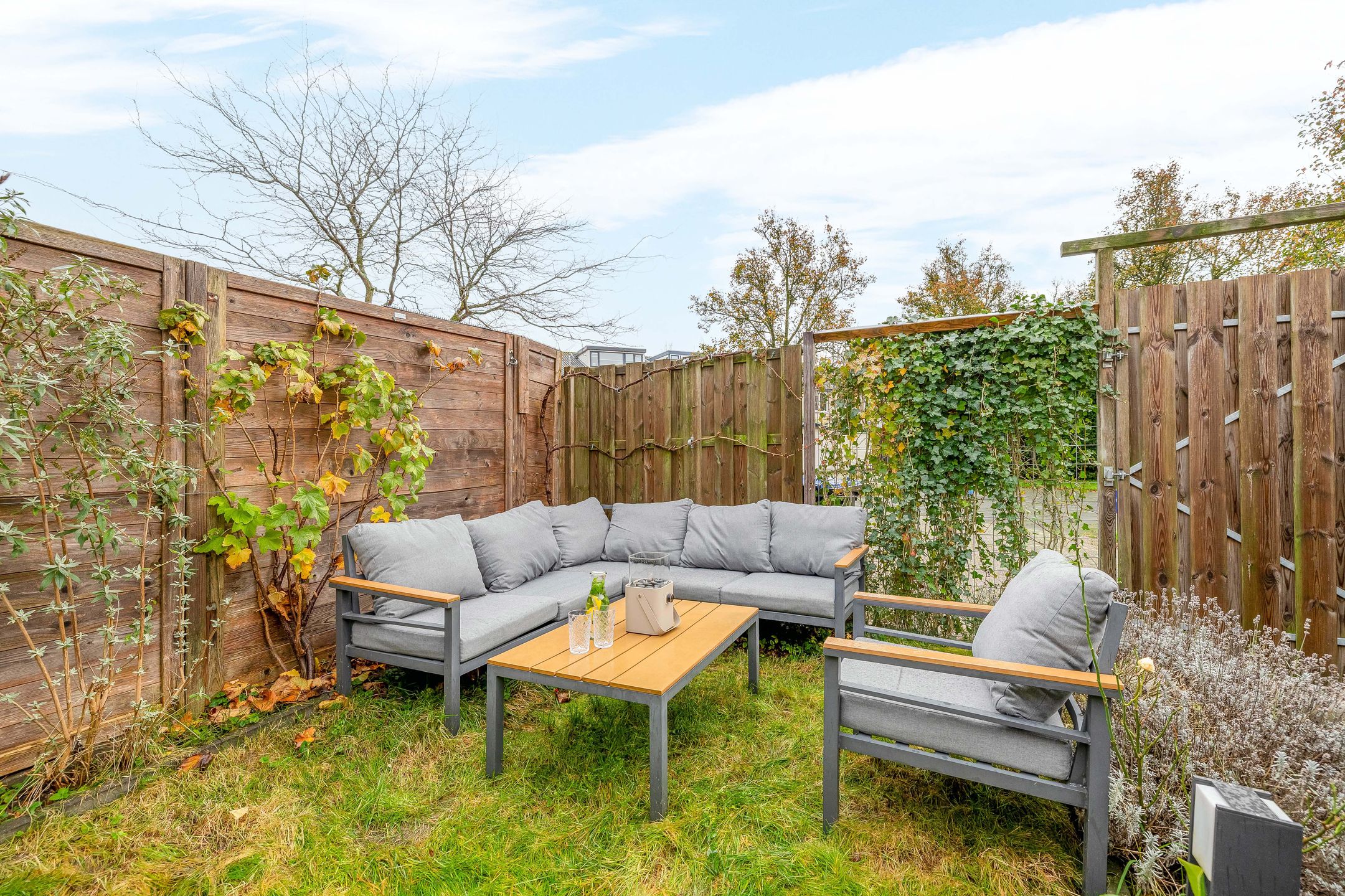 Foto 42 van Gipskruid 8