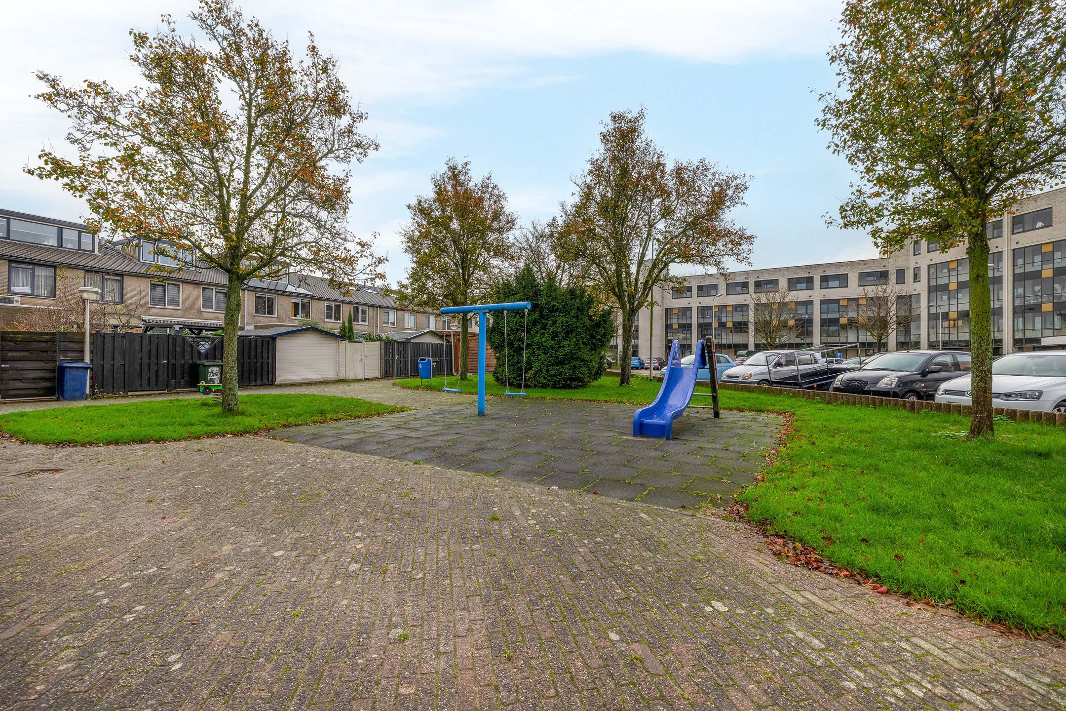 Foto 45 van Gipskruid 8