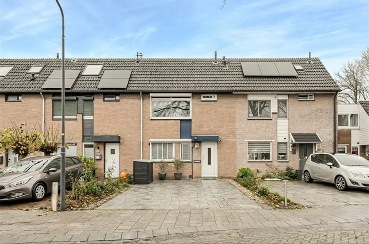 Foto 2 van Appelaar 55