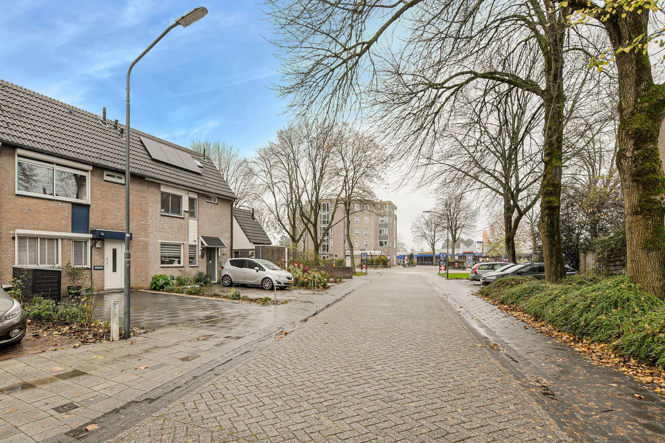 Foto 3 van Appelaar 55