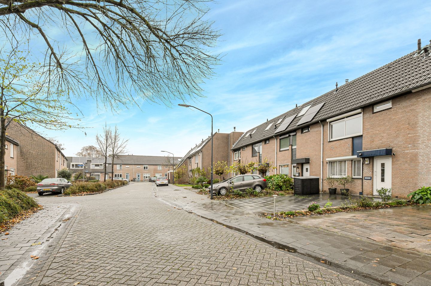 Foto 40 van Appelaar 55