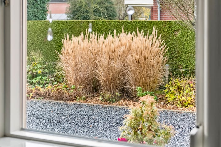 Photo 12 of Weverstraat 13