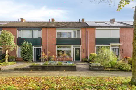 undefined main image