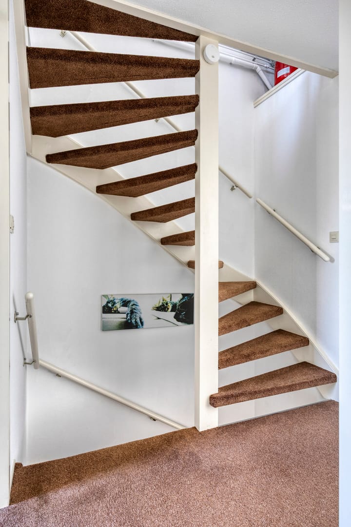 Foto 14 van Dokter van der Windhof 26