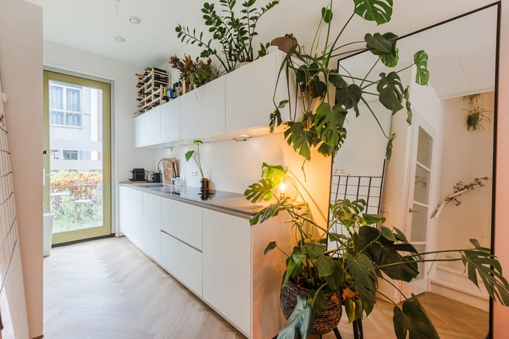 Foto 12 van Libau-eiland 74