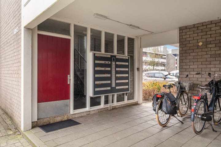 Foto 8 van Bosplaat 47