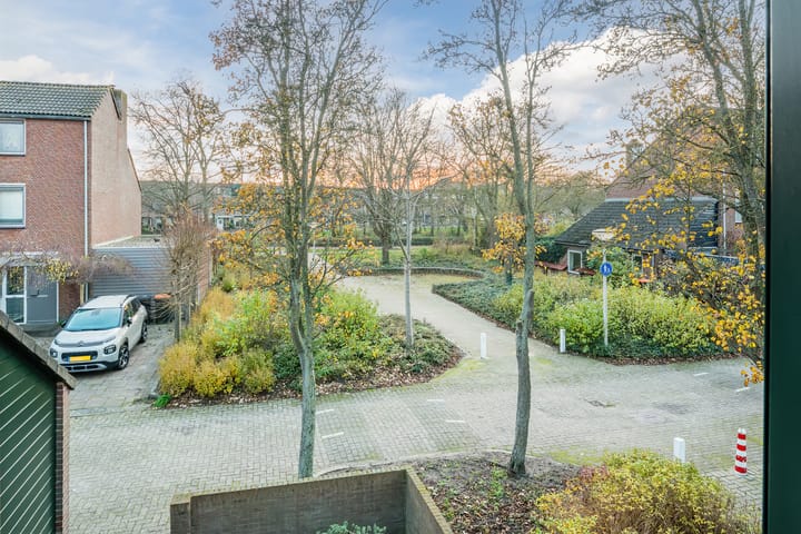 Foto 28 van Kreeft 16