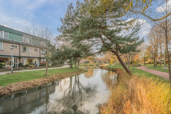 Foto 37 van Kreeft 16