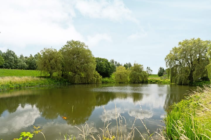 Foto 47 van Dominicanenstraat 12