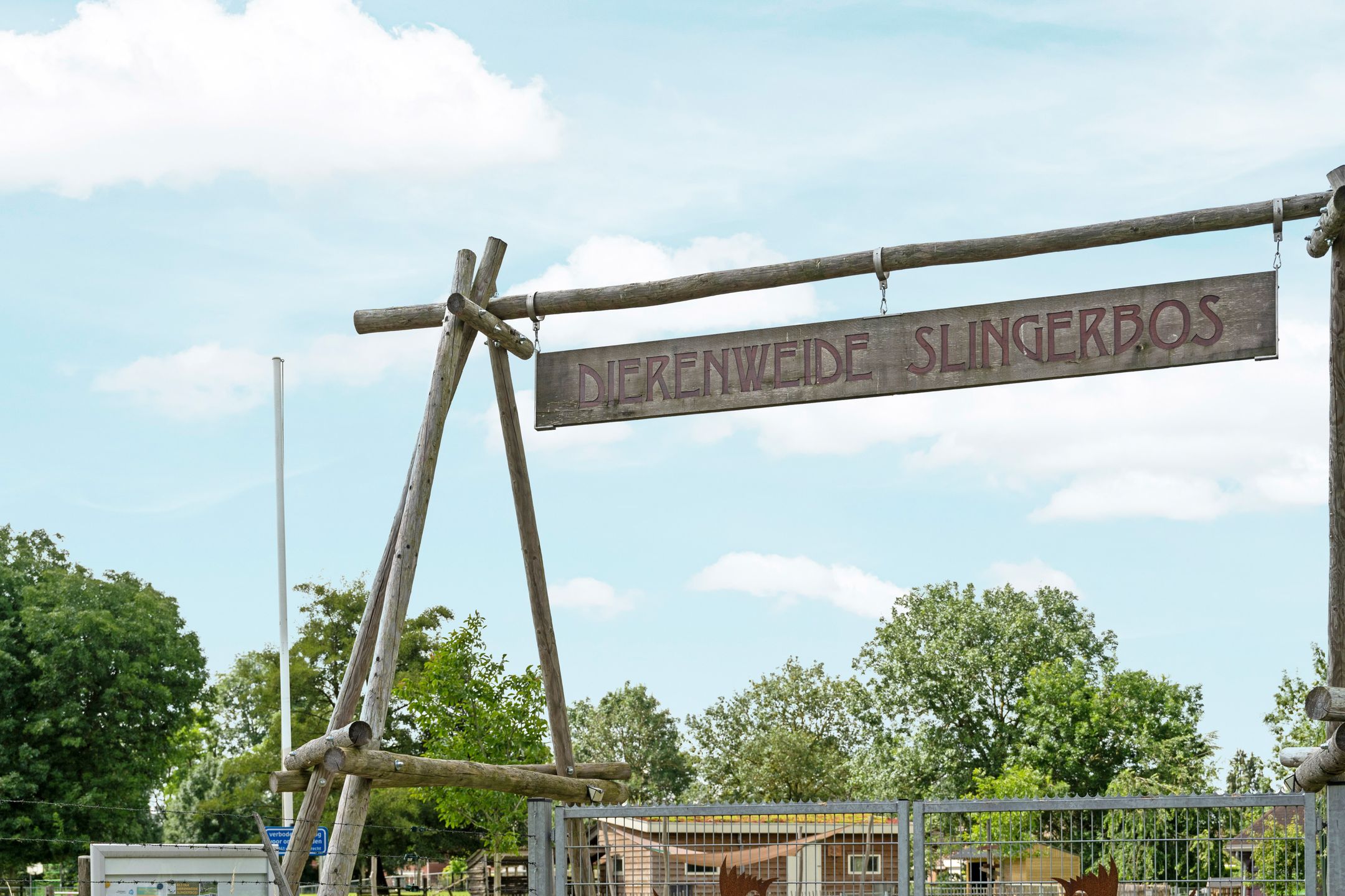 Photo 48 of Dominicanenstraat 12