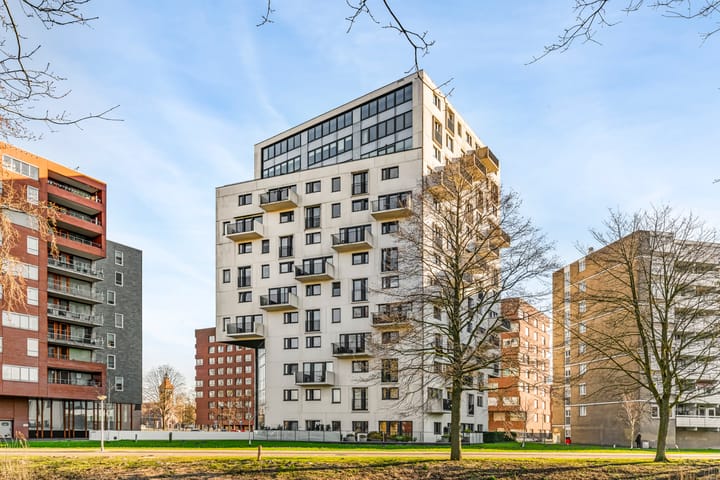Berkenplein 214